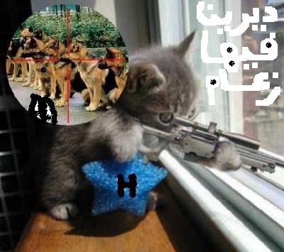 chat